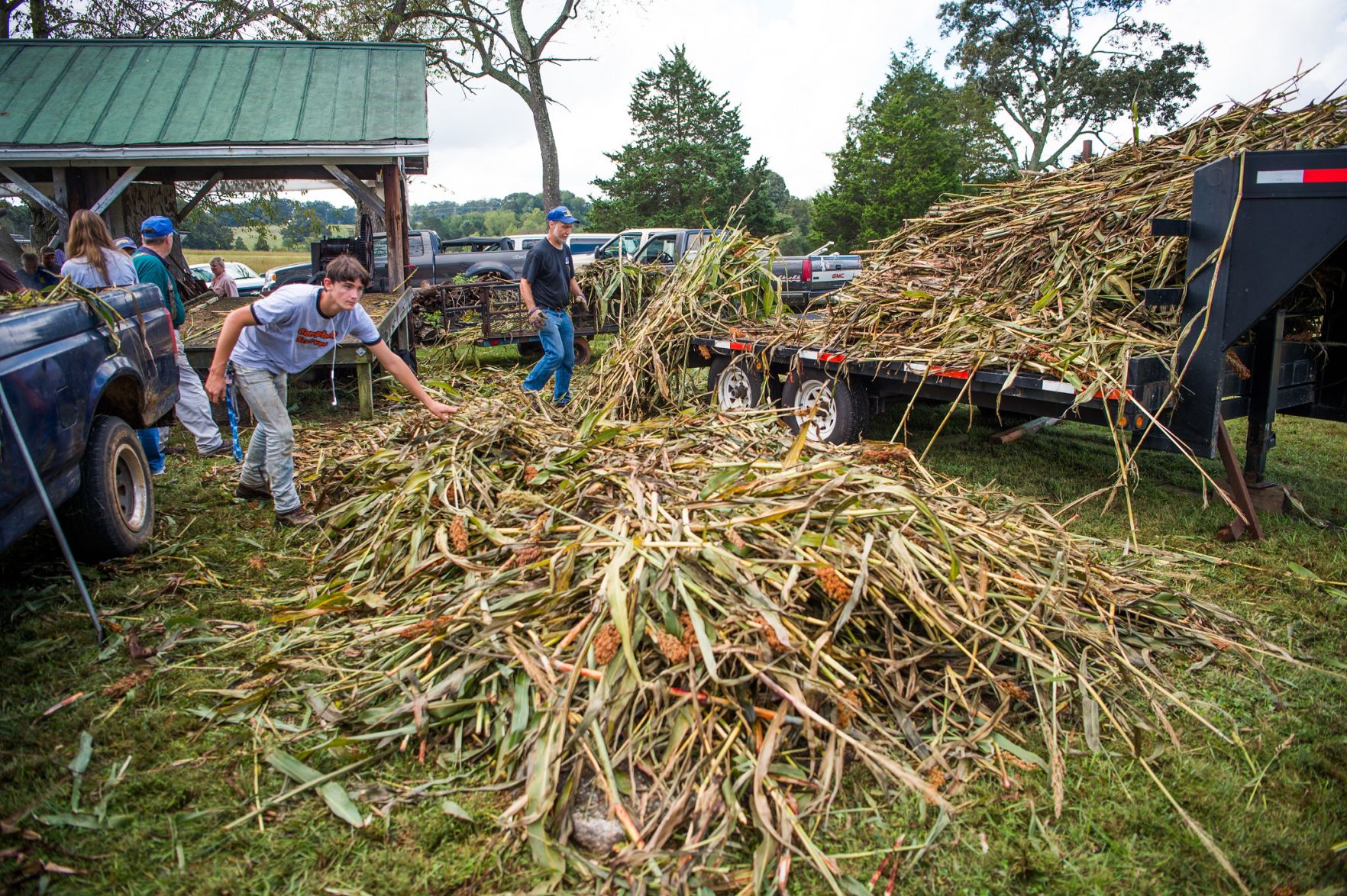 Sorghum Festival